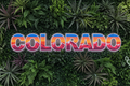 Colorado LED Neon Sign with Mountain Scene