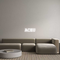 Custom Neon: ACEU