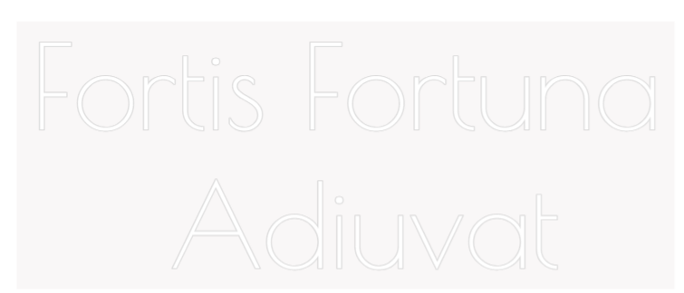 Custom Neon: Fortis Fortuna...