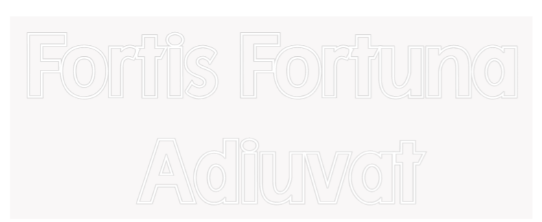 Custom Neon: Fortis Fortuna...