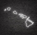 Hawaii LED Neon Sign