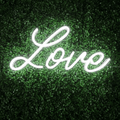 Love - Wedding LED Neon Sign