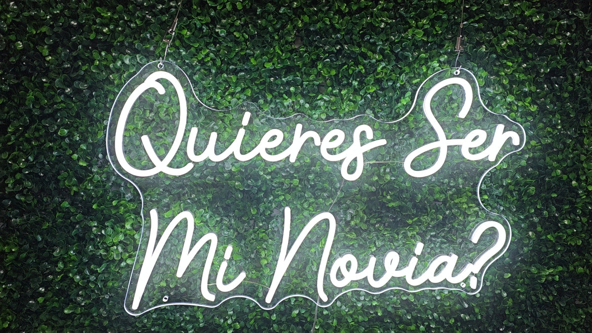 Quieres Ser Mi Novia LED Neon Sign