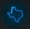 Texas LED Neon Sign