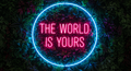 The World Is Yours LED Neon Sign